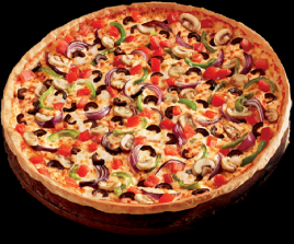 Euro Delight Special Pizza